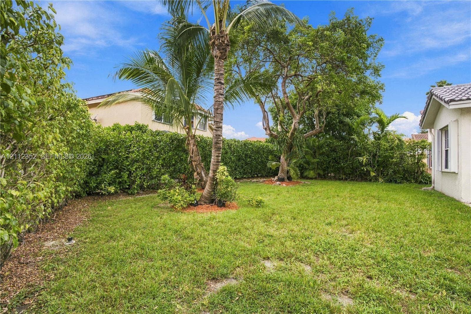 2880 NW 75th Avenue, Margate, FL 33063 Backyard featuring a grass lawn, dense perimeter hedge, mature palm tree, and established shade trees