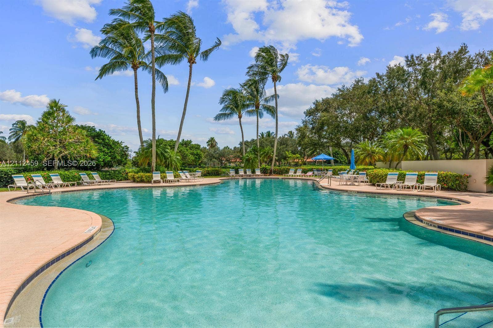 Freeform swimming pool featuring a concrete surround and integrated metal handrail, complemented by mature palm trees and manicured landscape hedging