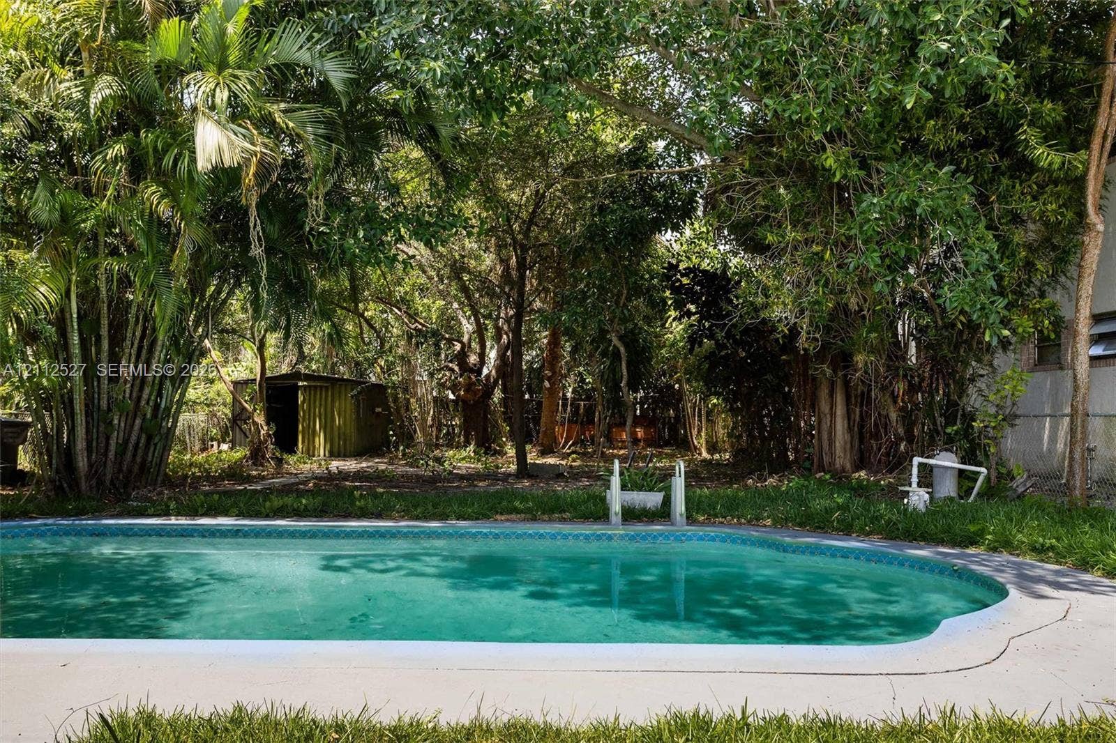 2517 Polk Street, Hollywood, Hollywood, FL 33020 In-ground swimming pool featuring a concrete surround, mature perimeter trees, and a detached storage structure