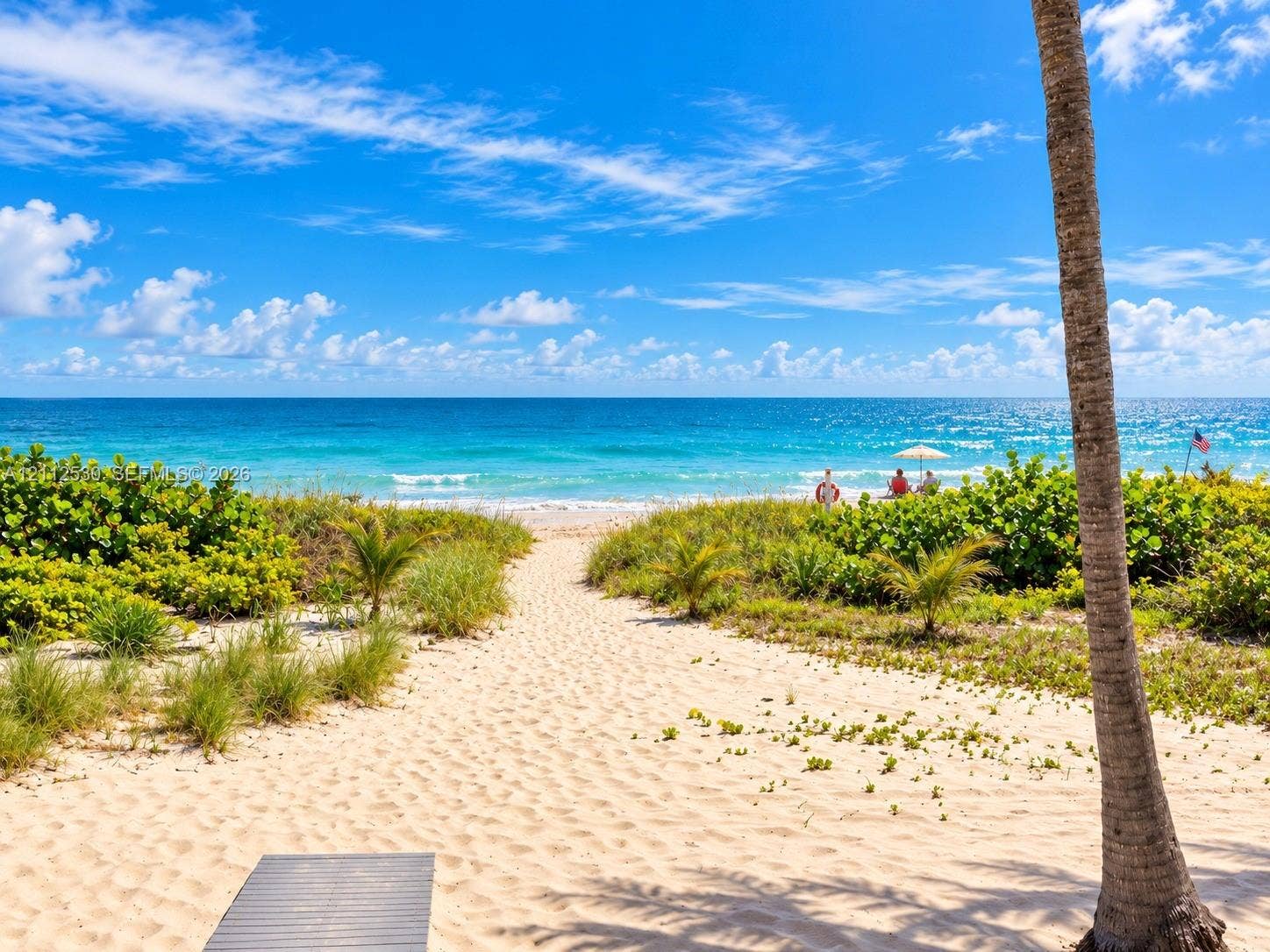 Private sand path featuring native coastal vegetation, tropical palm trees, and direct ocean access