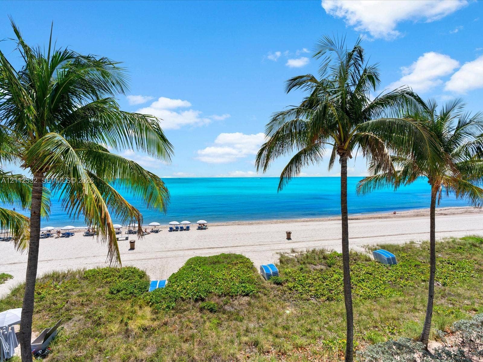 18911 Collins Avenue, #601, Sunny Isles Beach, FL 33160 Direct waterfront exposure featuring a sandy beach, turquoise ocean waters, and mature palm trees