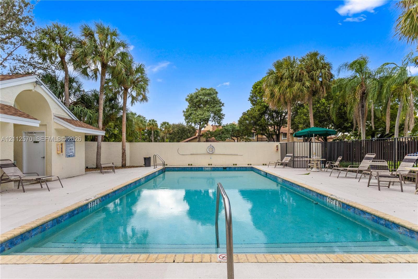 Rectangular swimming pool featuring tile coping, a concrete deck, metal handrails, and surrounding privacy walls with mature palm trees