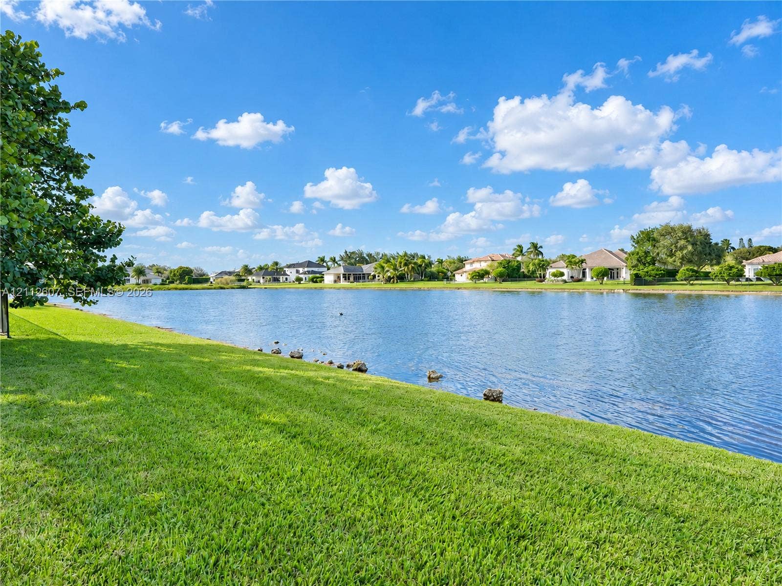 14443 S Jockey Circle S, Davie, FL 33330 Waterfront lot featuring a grass lawn, rock landscaping, and mature trees