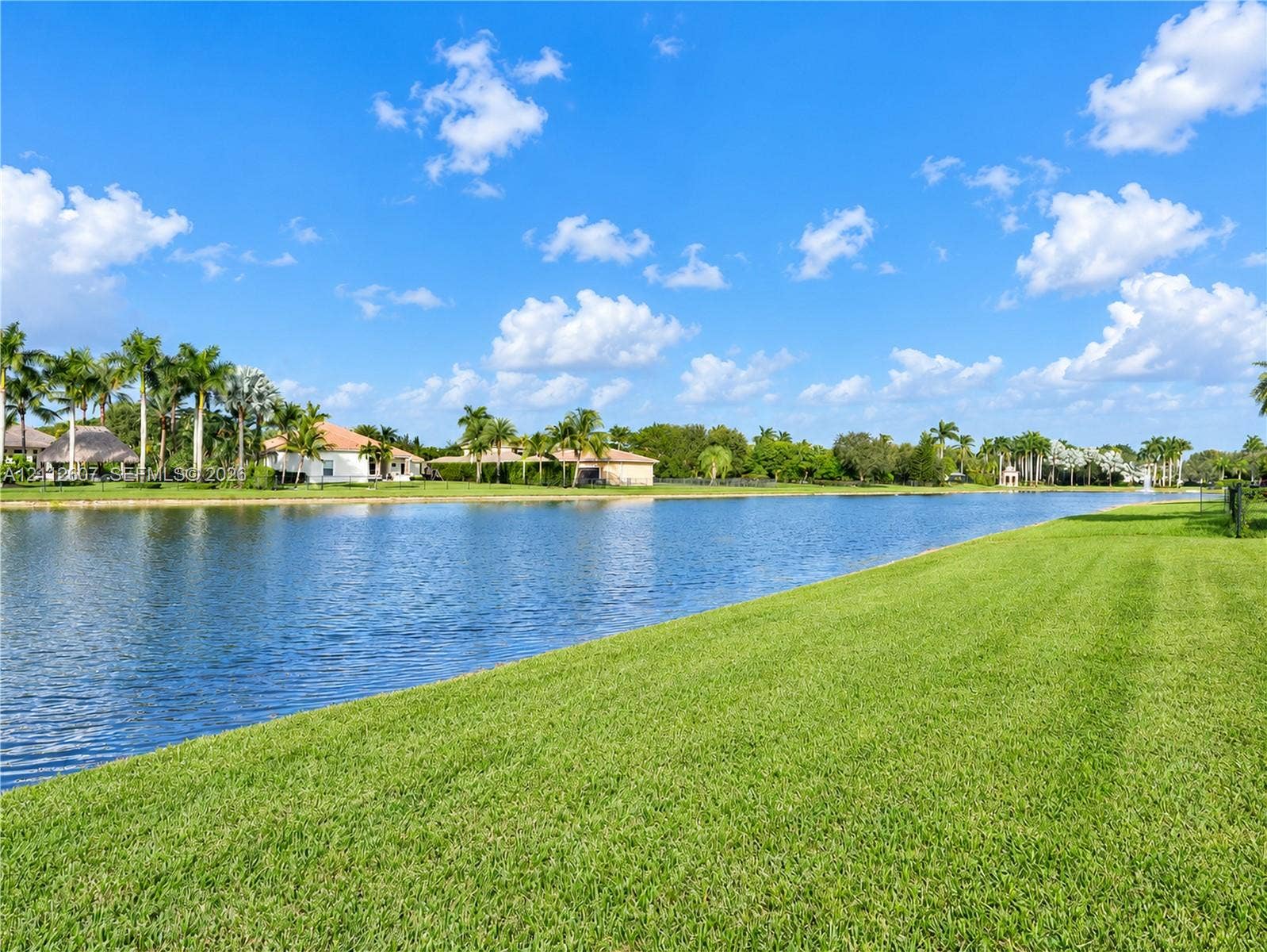 14443 S Jockey Circle S, Davie, FL 33330 Waterfront lot featuring a large body of water, expansive manicured lawn, and mature palm trees