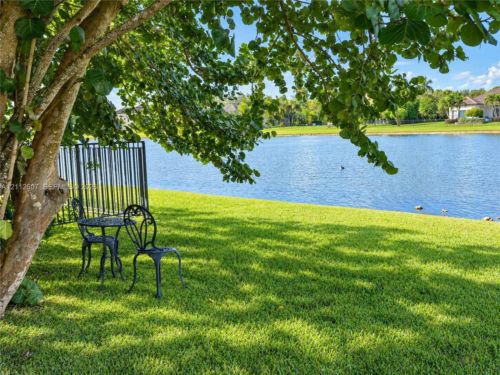 14443 S Jockey Circle S, Davie, FL 33330 Waterfront backyard featuring a manicured lawn, mature shade trees, and black metal perimeter fencing