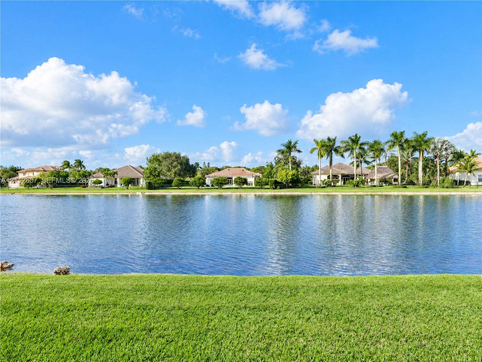 14443 S Jockey Circle S, Davie, FL 33330 Waterfront setting with a manicured lawn and mature palm trees