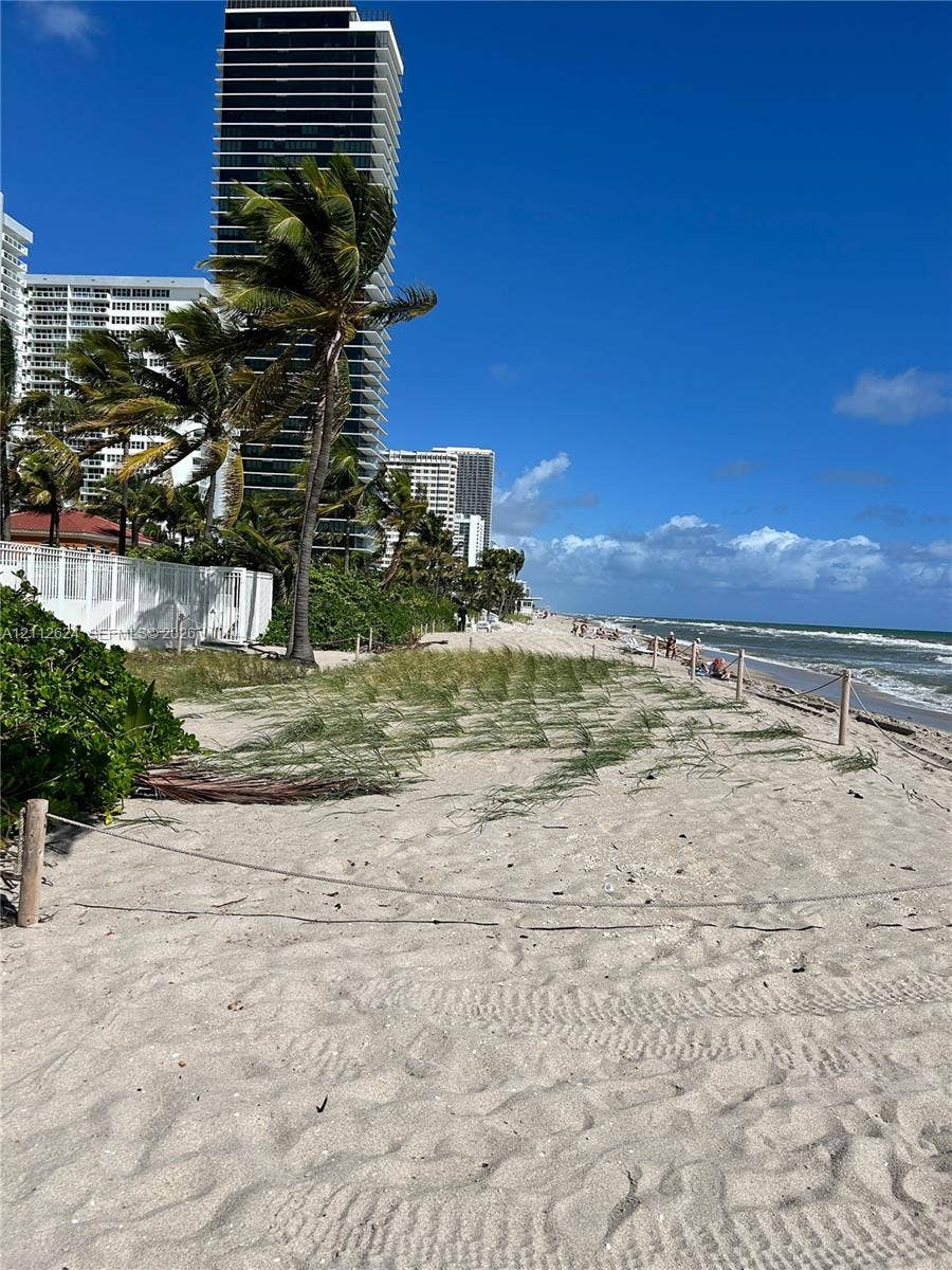 Direct oceanfront access featuring expansive sandy shoreline, dune vegetation, rope fencing, and palm trees