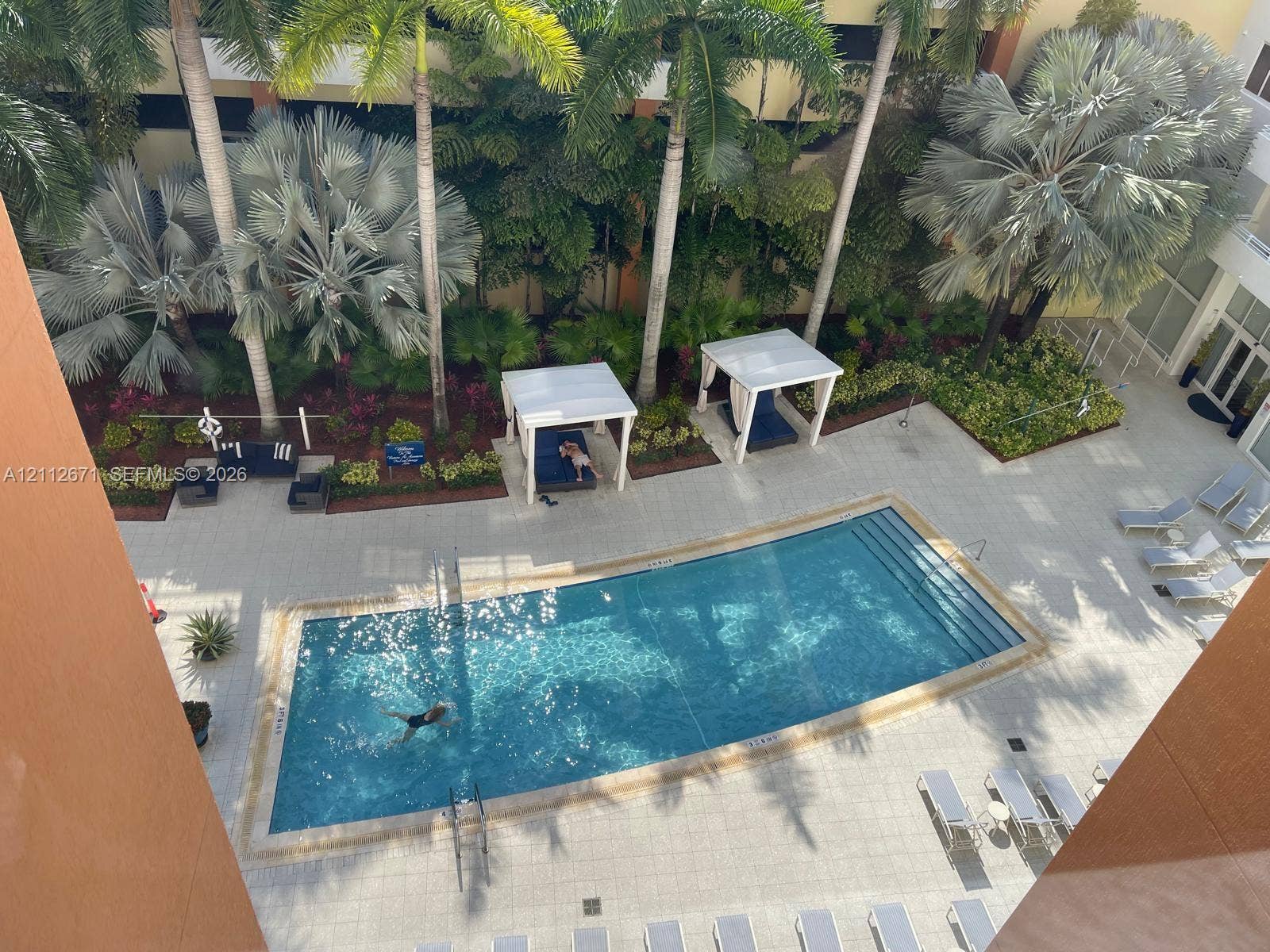 Swimming pool with integrated steps, surrounded by a paved deck, permanent poolside cabanas, and established palm landscaping