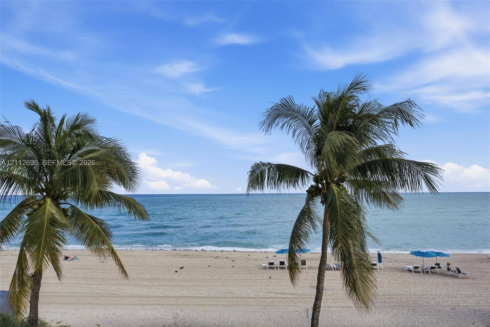 19111 Collins Avenue, #505, Sunny Isles Beach, FL 33160 Sandy beachfront featuring mature palm trees and direct ocean access