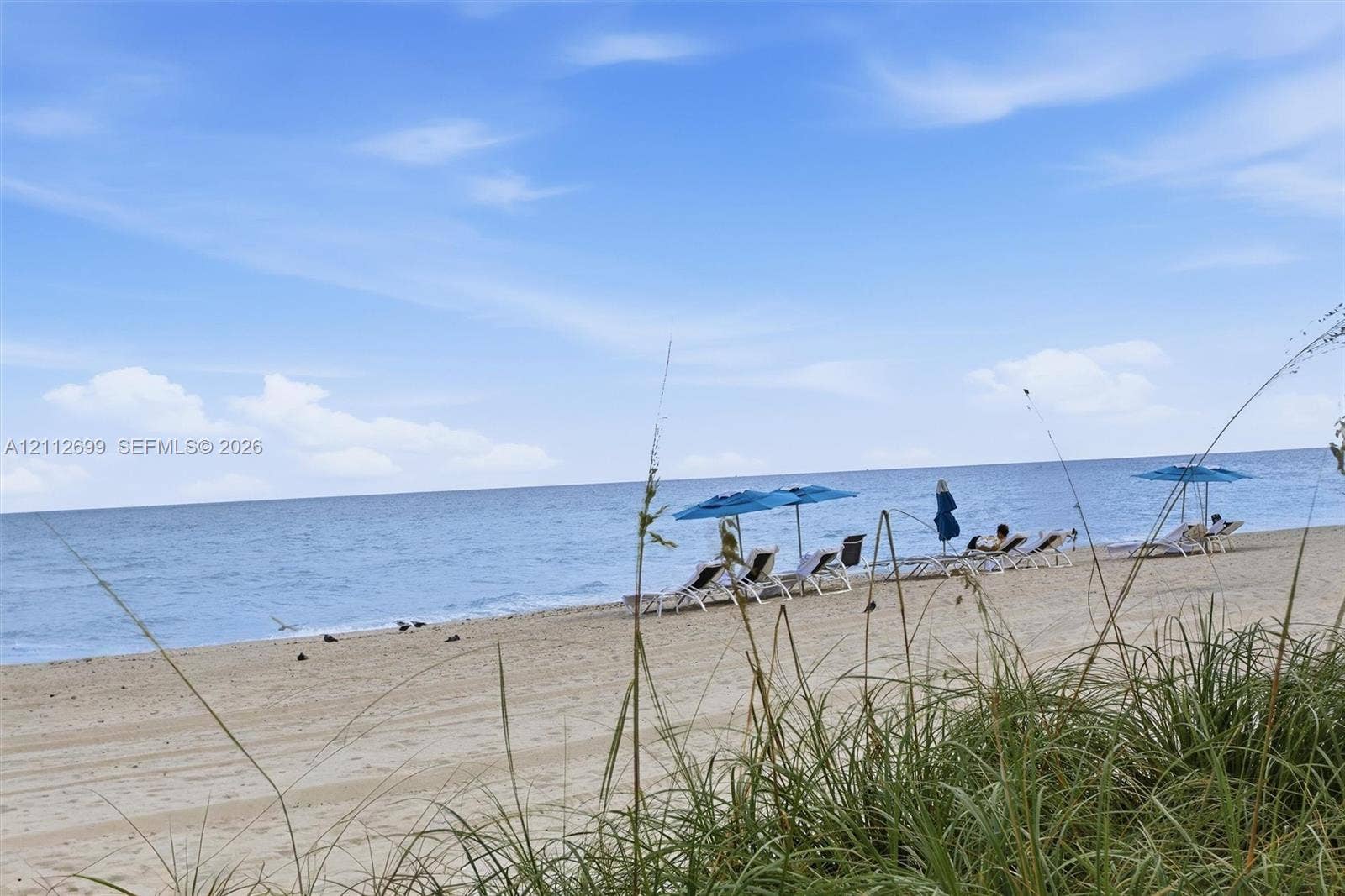 19111 Collins Avenue, #505, Sunny Isles Beach, FL 33160 Private sandy beach frontage with native dune grasses and open ocean horizon