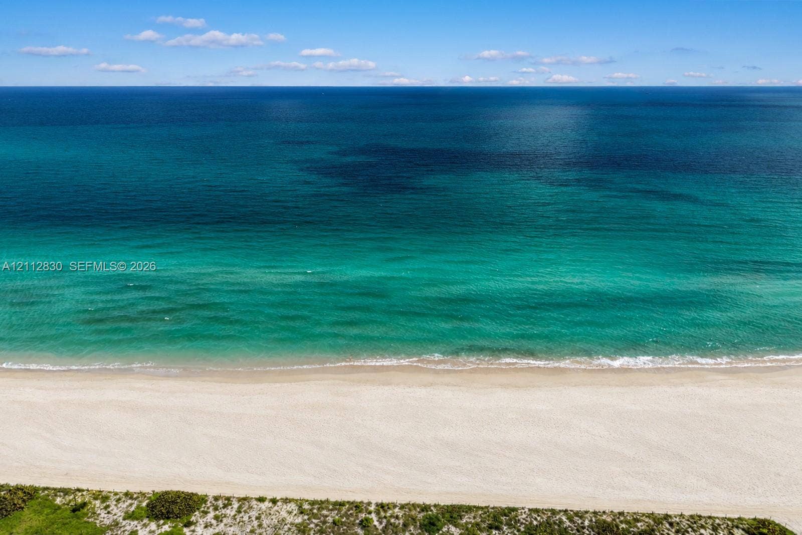 Direct waterfront access with sandy beach frontage and coastal vegetation