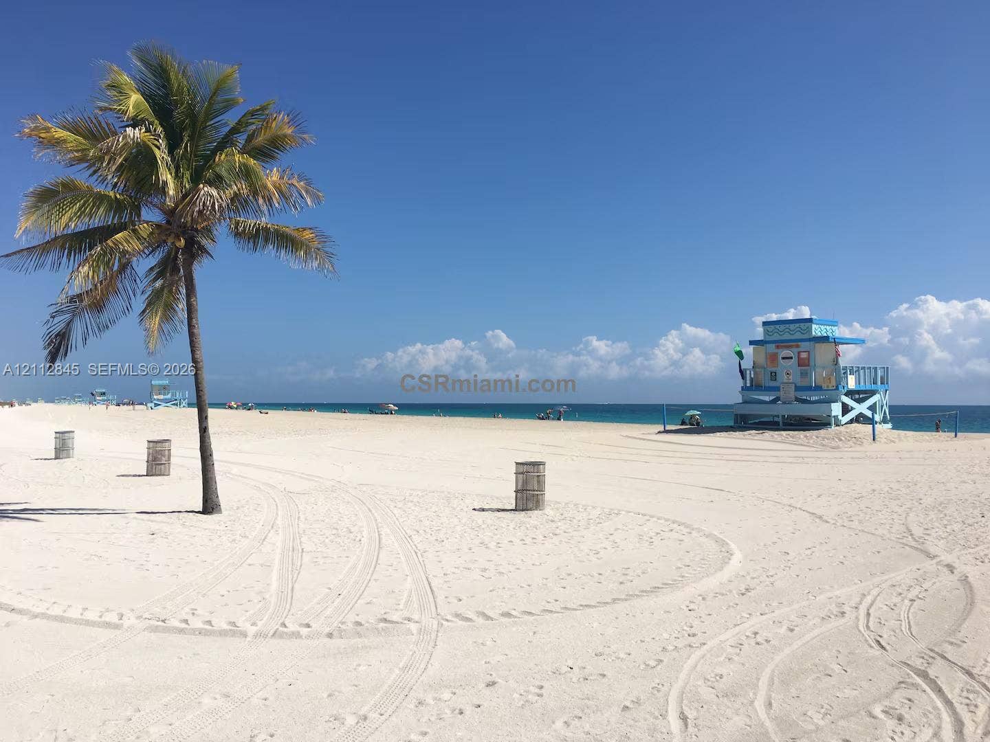 17550 Collins Avenue, #1202, Sunny Isles Beach, Sunny Isles Beach, FL 33160 Sandy beach frontage featuring white sand, palm tree, and turquoise ocean water