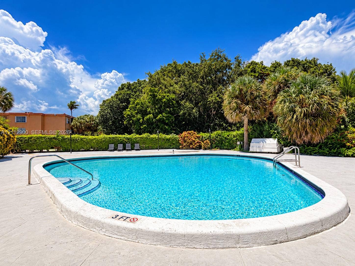 Outdoor swimming pool featuring a curved concrete deck, built-in steps with metal handrails, and surrounding mature landscaping with palm trees