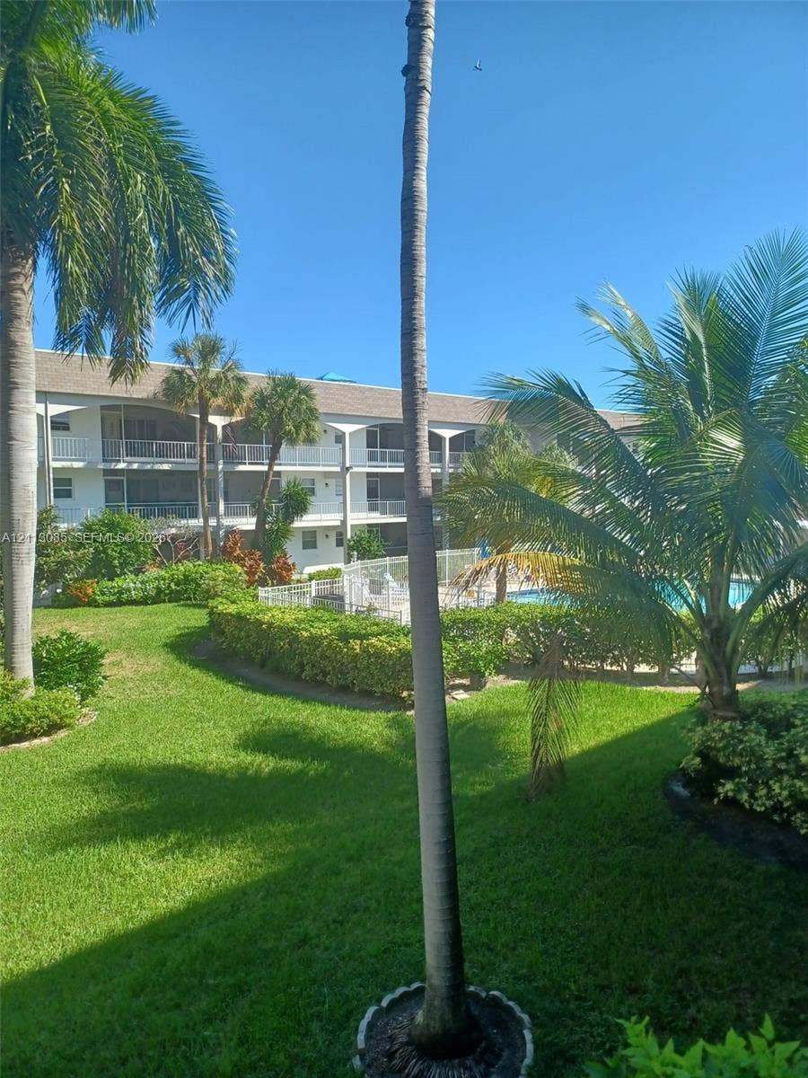 Expansive lawn featuring mature palm trees, manicured landscaping, and a swimming pool with decorative fencing