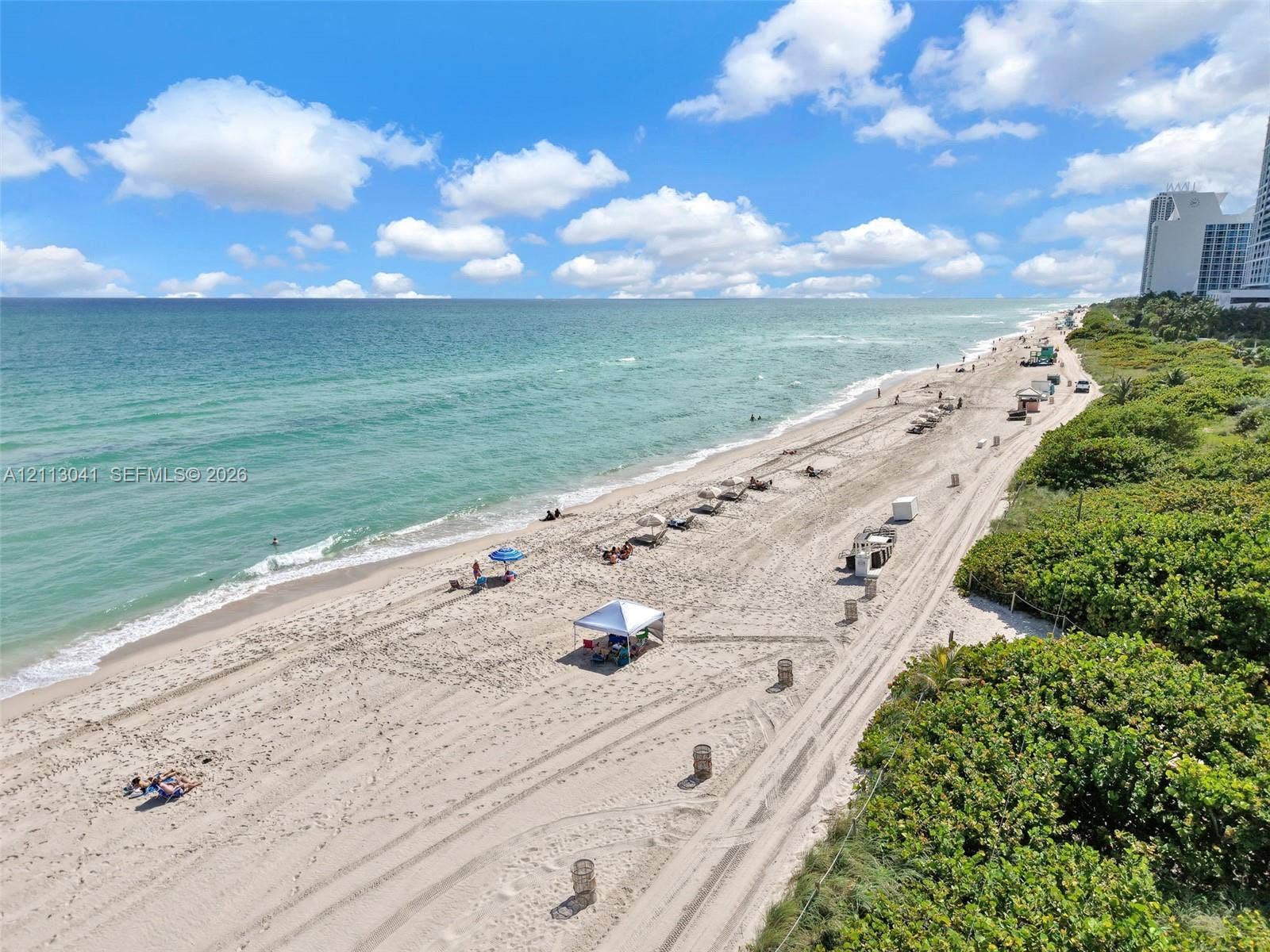 7135 Collins Avenue, #1426, Miami Beach, FL 33141 Direct oceanfront access featuring expansive sandy shoreline, turquoise water, and mature coastal vegetation