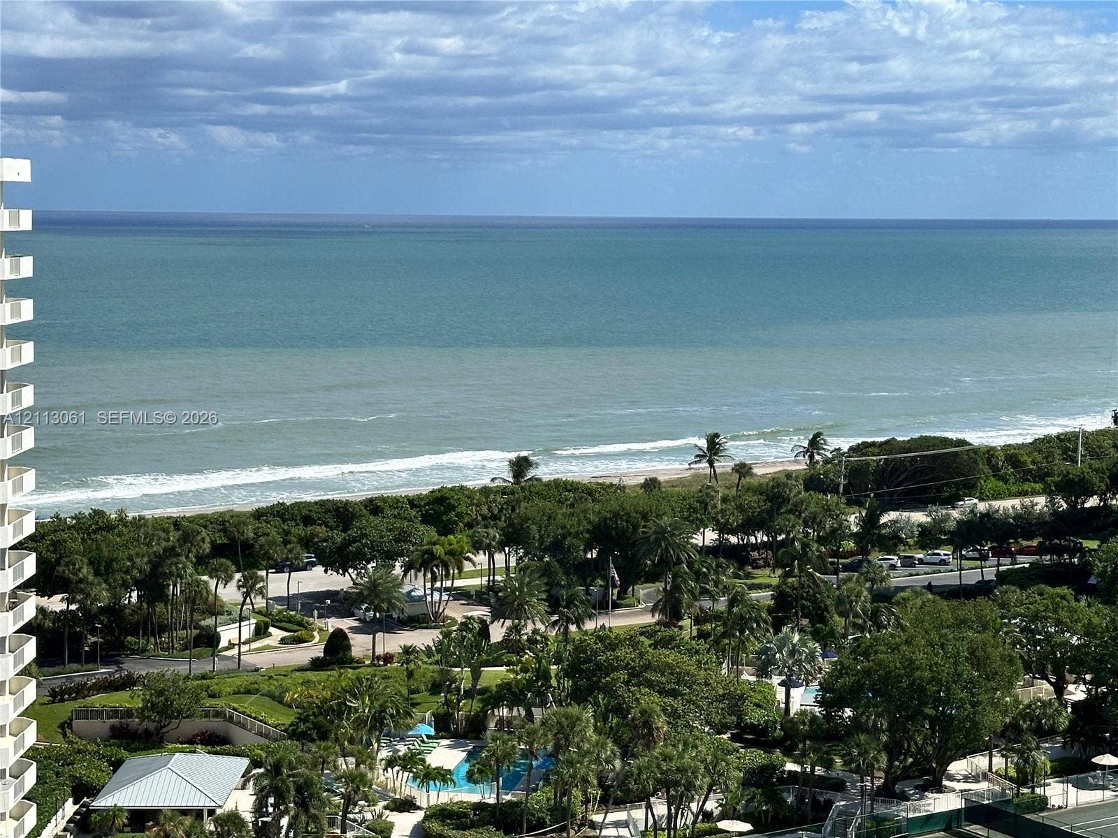 Oceanfront panorama featuring an expansive coastline, mature palm trees, dense coastal vegetation, and a private swimming pool
