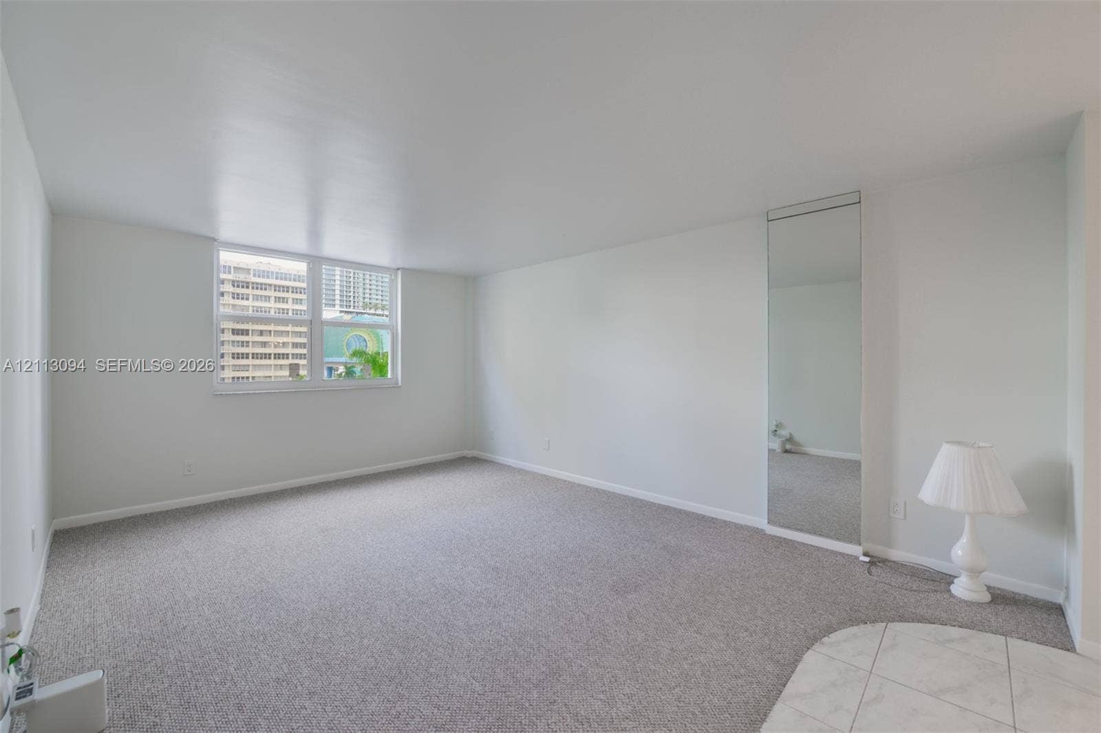 Open-concept room featuring wall-to-wall carpeting, floor-to-ceiling mirror panel, and double-pane window