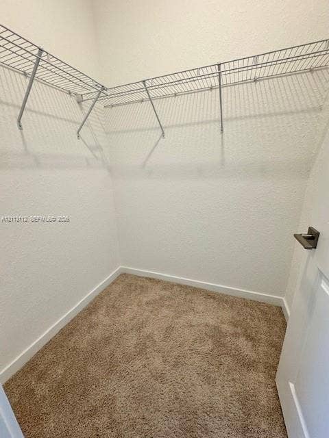 557 NE 5th Terrace, Florida City, Florida City, FL 33034 Interior space featuring neutral-toned carpeting, two sets of panel doors with metallic hardware, a single geometric pendant light fixture, and a window with horizontal blinds
