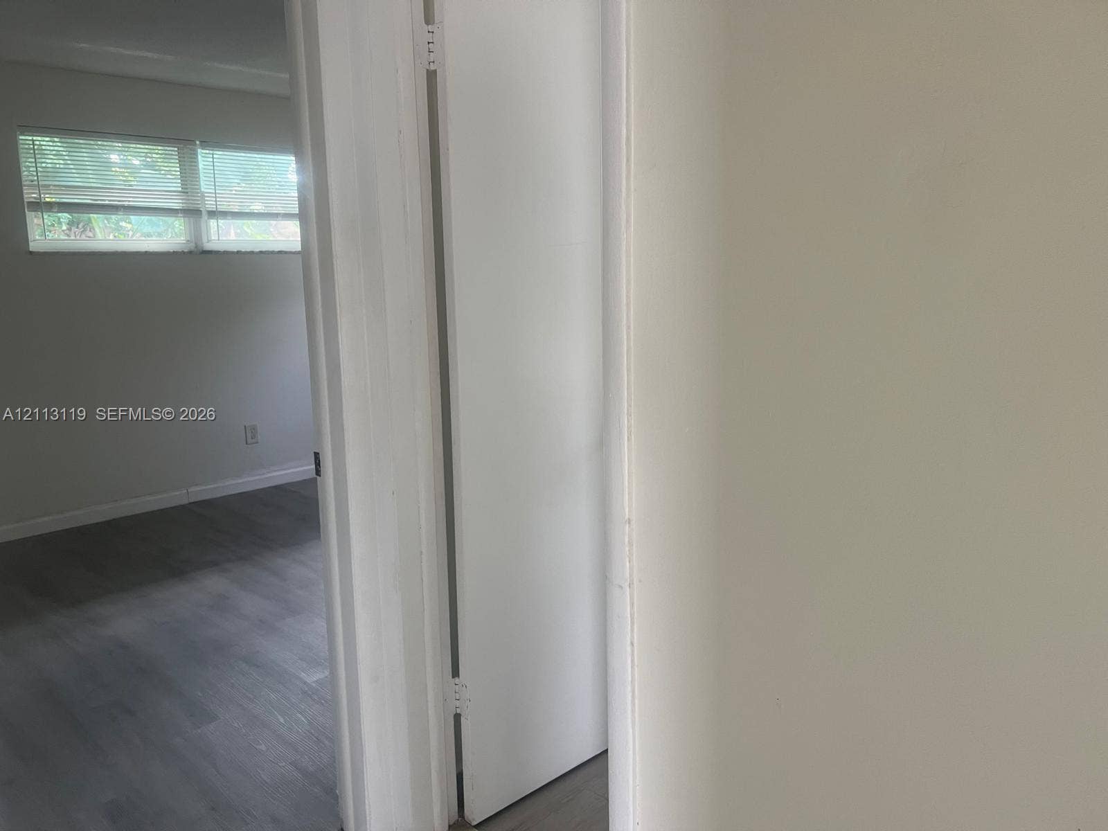 Interior featuring neutral wall paint, wood-finish flooring, and a hinged door with a matte finish