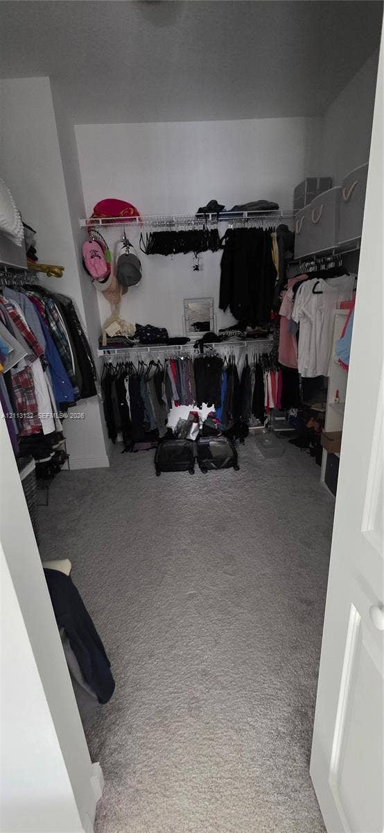 16474 Sea Turtle Place, Westlake, Westlake, FL 33470 Walk-in closet featuring tiered wire shelving and wall-to-wall carpeting