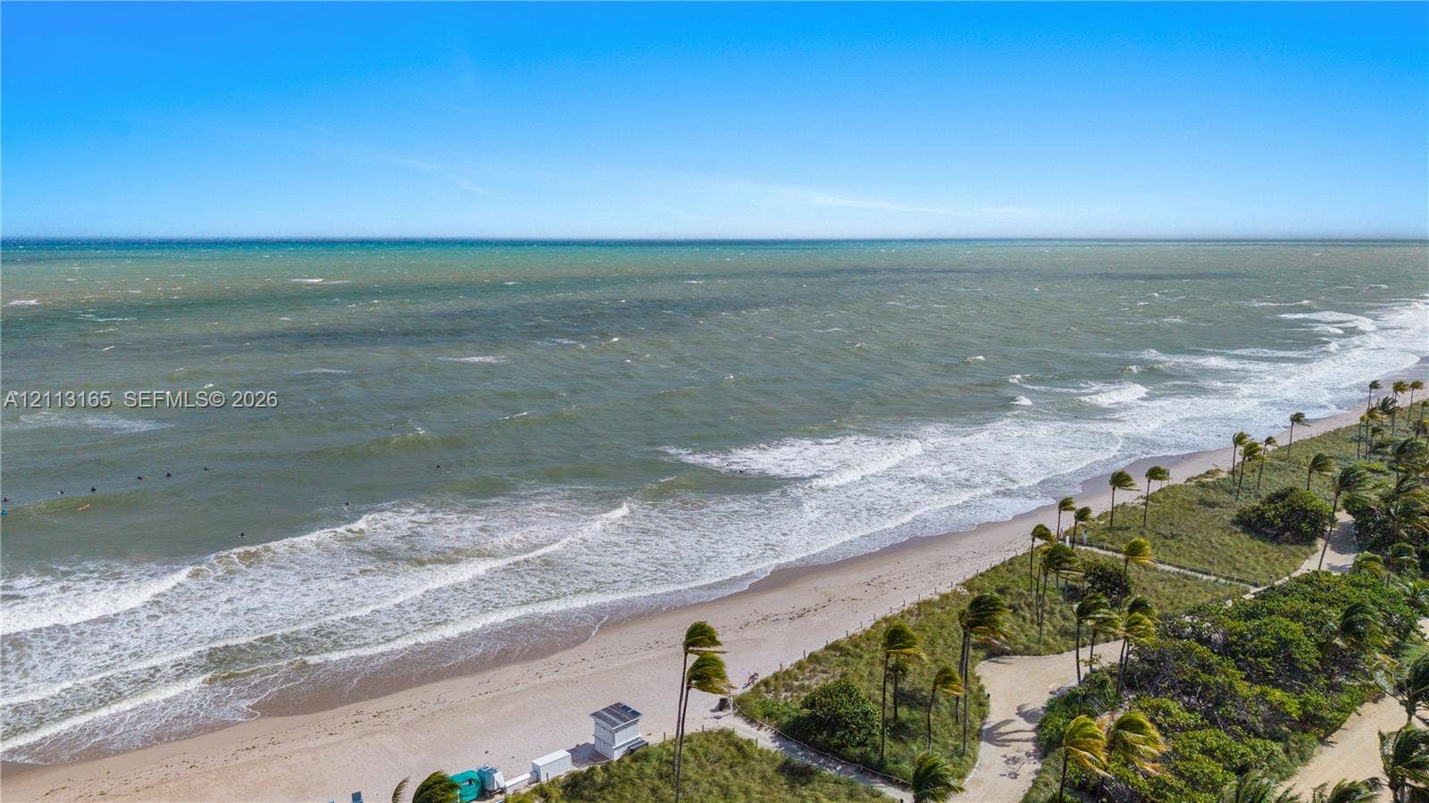 10275 Collins Avenue, #229, Bal Harbour, FL 33154 Coastal property featuring direct oceanfront access, sandy beach, paved pedestrian pathways, and mature coastal vegetation