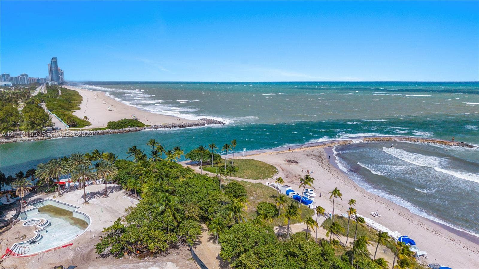 10275 Collins Avenue, #229, Bal Harbour, FL 33154 Coastal property featuring direct water access, a concrete swimming pool, expansive sandy shorelines, lush mature palms, and open ocean frontage