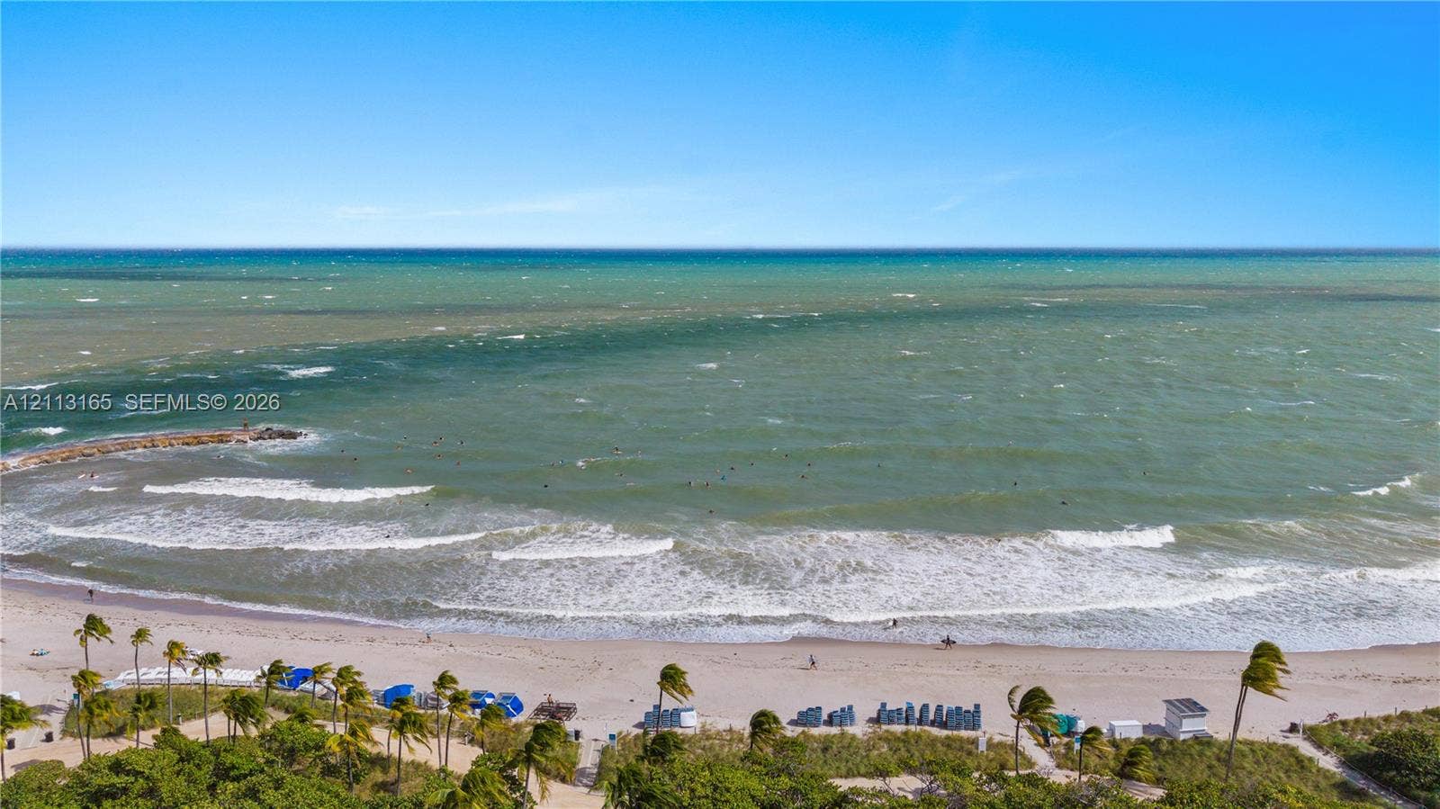 10275 Collins Avenue, #229, Bal Harbour, FL 33154 Direct oceanfront setting with expansive sandy beach, coastal shoreline, and tropical palm landscaping