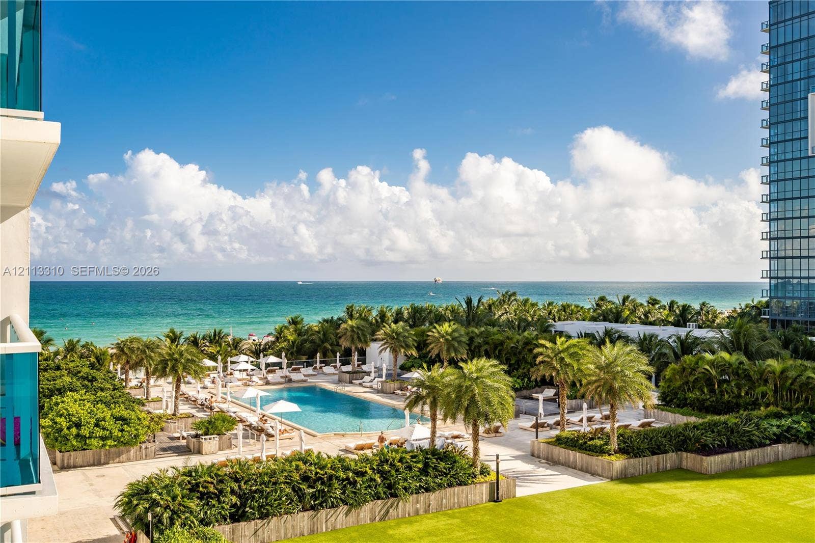 Outdoor amenity area featuring a swimming pool, expansive lawn, mature palm trees, and horizon-spanning ocean waters