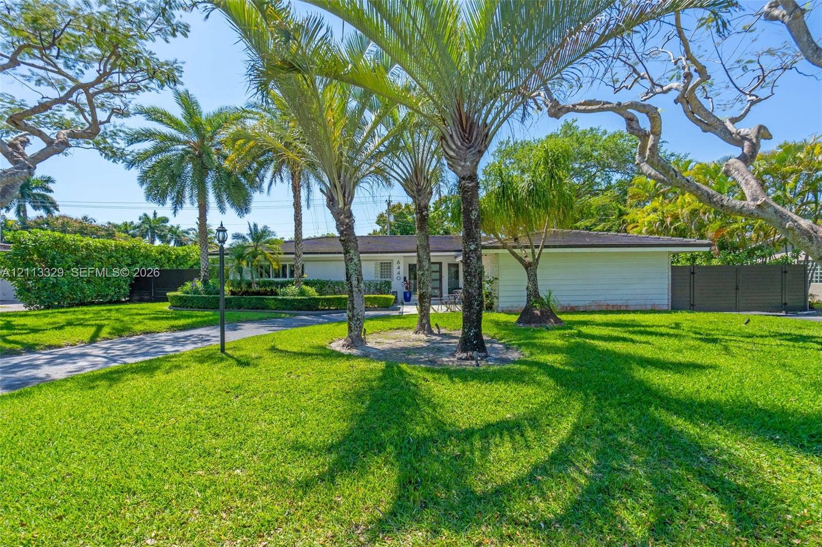 6440 SW 144th Street, Coral Gables, FL 33158 Single-story exterior with horizontal siding, sprawling lawn, mature palm trees, paved driveway, and perimeter fencing
