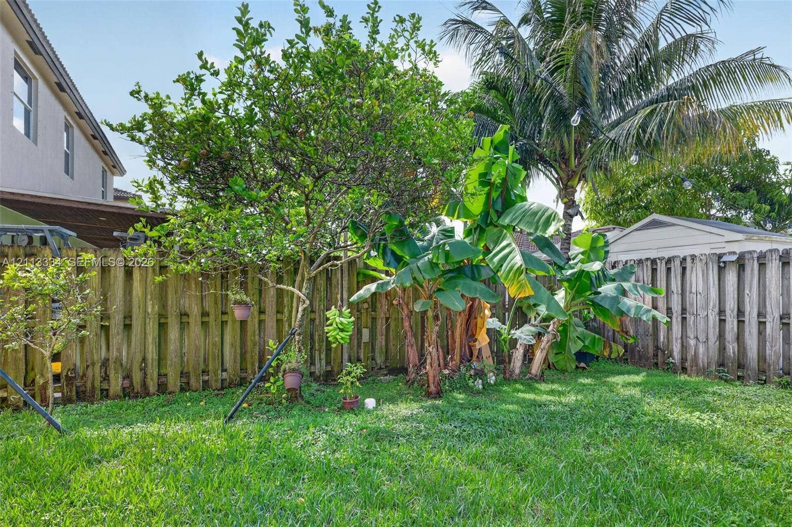 28232 SW 128th Path, Homestead, FL 33033 Fenced backyard featuring established fruit trees, banana plants, and a grass lawn