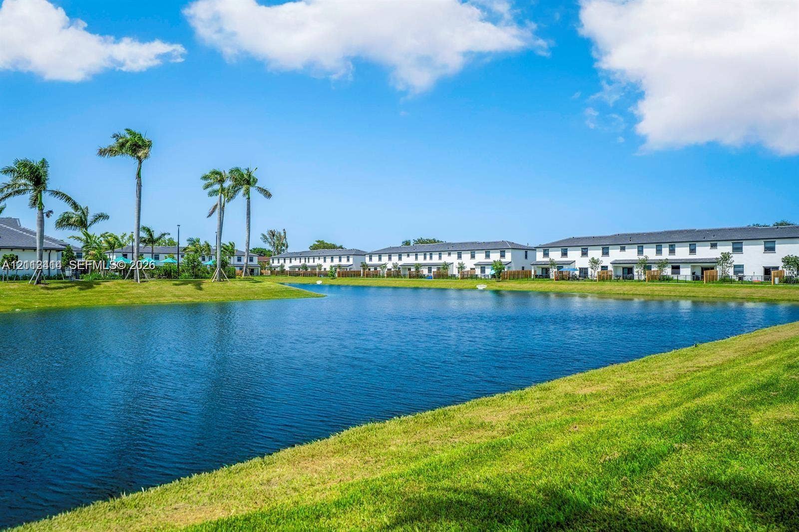 3024 Green Palm Court, #5838, Dania, Dania Beach, FL 33312 Waterfront landscape featuring a pond, manicured turf, and mature palm trees