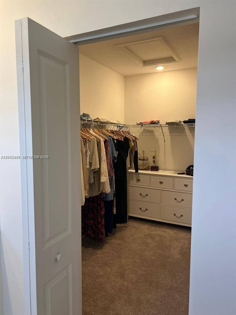 3024 Green Palm Court, #5838, Dania, Dania Beach, FL 33312 Walk-in closet featuring carpeted flooring, built-in wire shelving, and a white multi-drawer storage unit