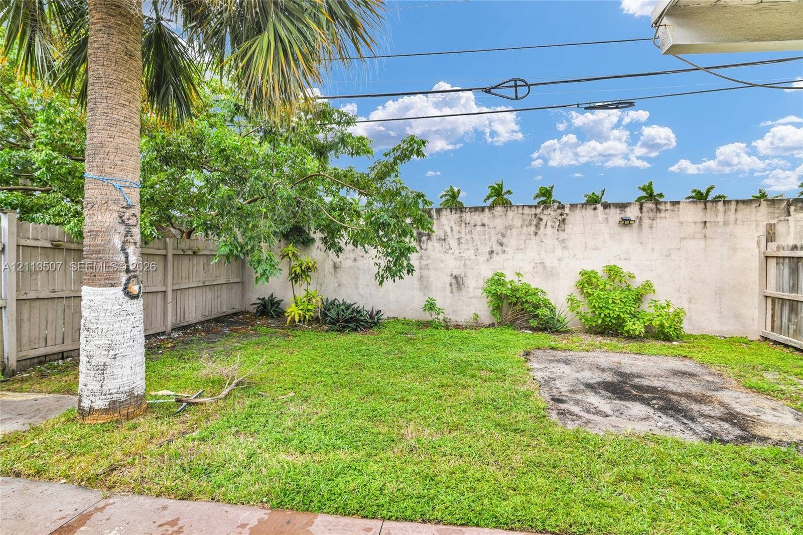 Backyard area featuring a concrete perimeter wall, wood-panel fencing, mature palm tree, and ground-level plantings