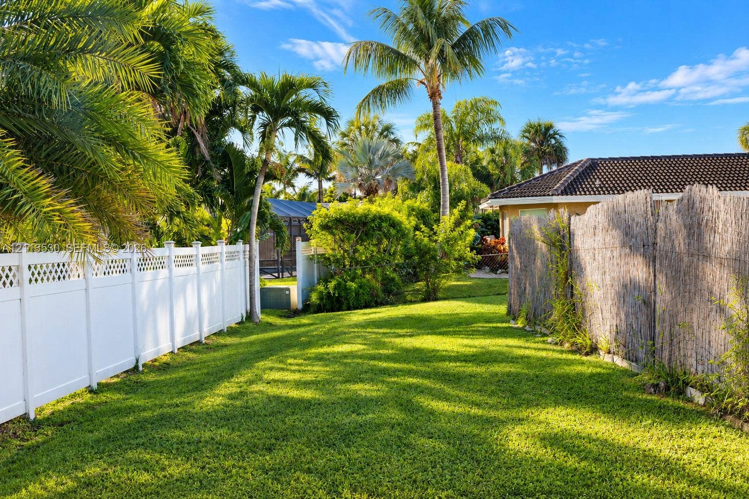 1773 NW 82nd Avenue, Coral Springs, FL 33071 Expansive backyard featuring a manicured lawn, white vinyl fencing, natural reed screening, and mature palm trees