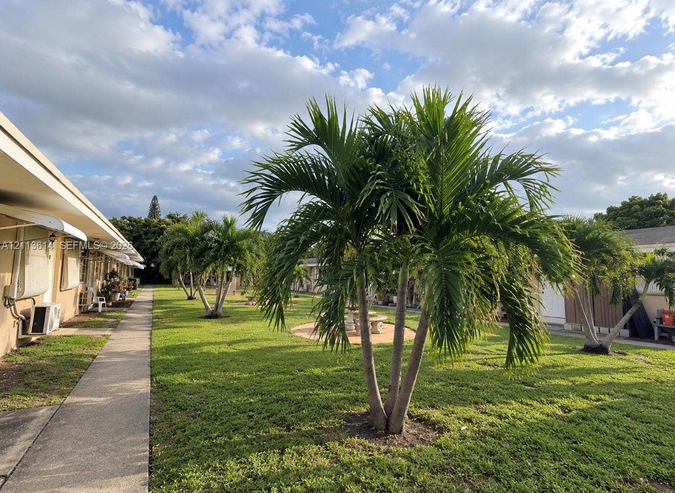 2901 Polk Street, #16, Hollywood, Hollywood, FL 33020 Expansive lawn featuring mature palm trees and a concrete walkway