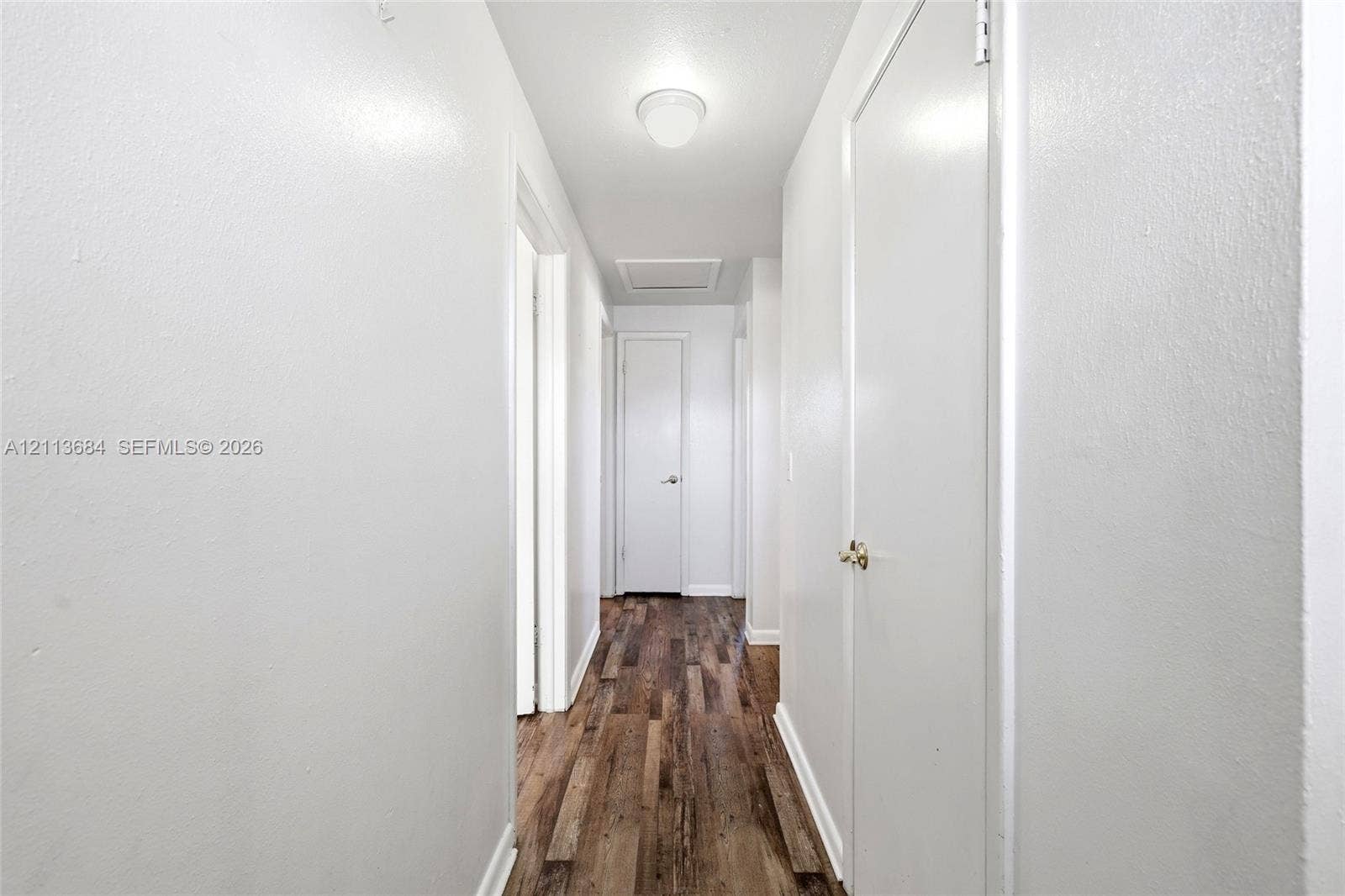 6504 Lenore Drive, Tampa, Tampa, FL 33634 Hallway featuring wood-finish flooring, crisp neutral walls, flush-mount ceiling lighting, and multiple interior doors