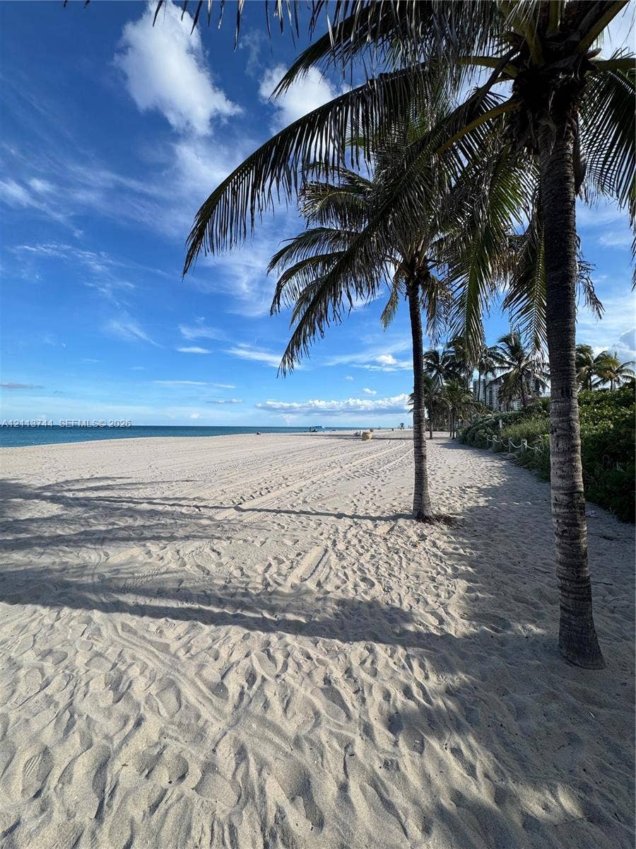 1501 Arthur Street, #1, Hollywood, FL 33020 Sandy coastline featuring mature palm trees and direct ocean frontage