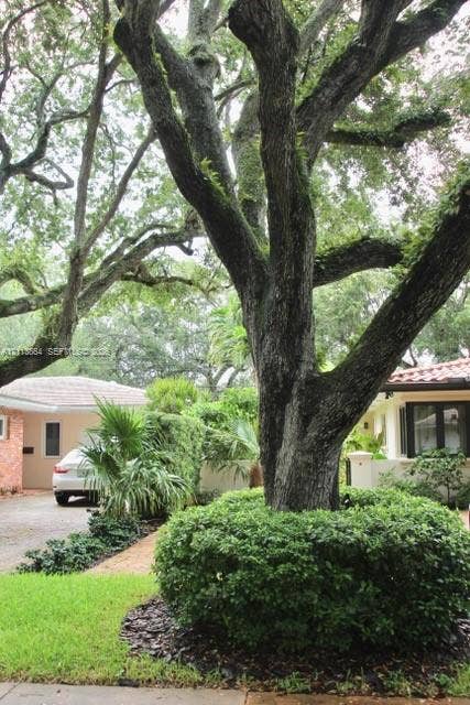 721 Tibidabo Avenue, #0, Coral Gables, Coral Gables, FL 33143 Mature canopy trees, manicured shrubbery, landscaped garden beds, and gravel driveway