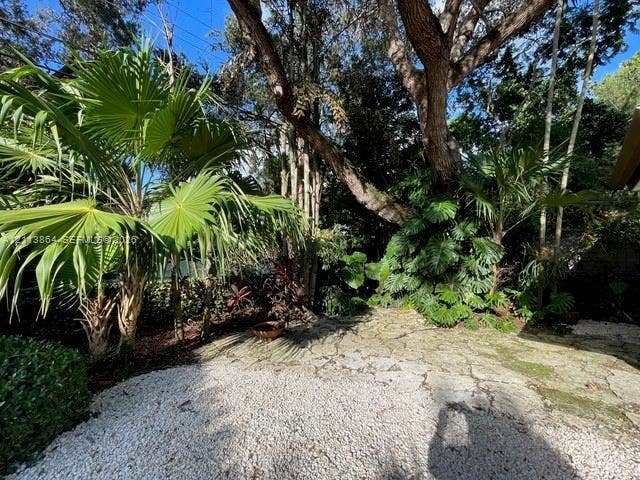 721 Tibidabo Avenue, #0, Coral Gables, Coral Gables, FL 33143 Flagstone patio featuring white gravel borders, mature trees, and established tropical vegetation