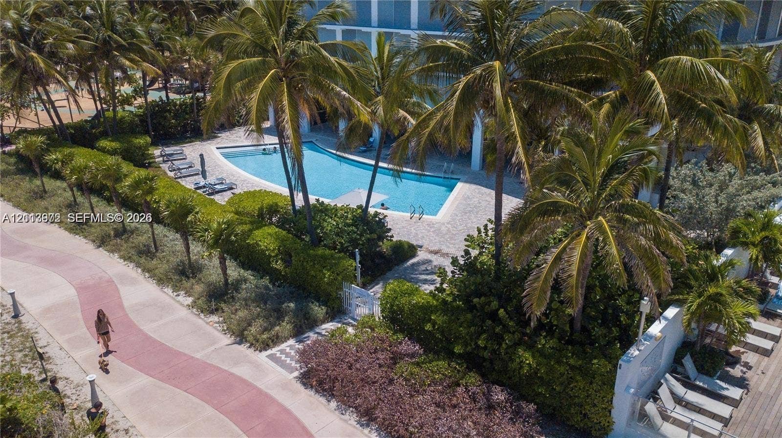 6515 Collins Avenue, #1609, Miami Beach, Miami Beach, FL 33141 Swimming pool with stone-tiled decking and mature palm tree landscaping