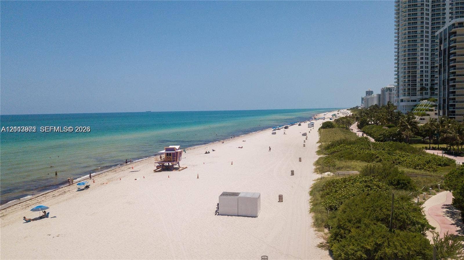 6515 Collins Avenue, #1609, Miami Beach, Miami Beach, FL 33141 Direct oceanfront access featuring expansive sandy shoreline, turquoise water, and tropical foliage