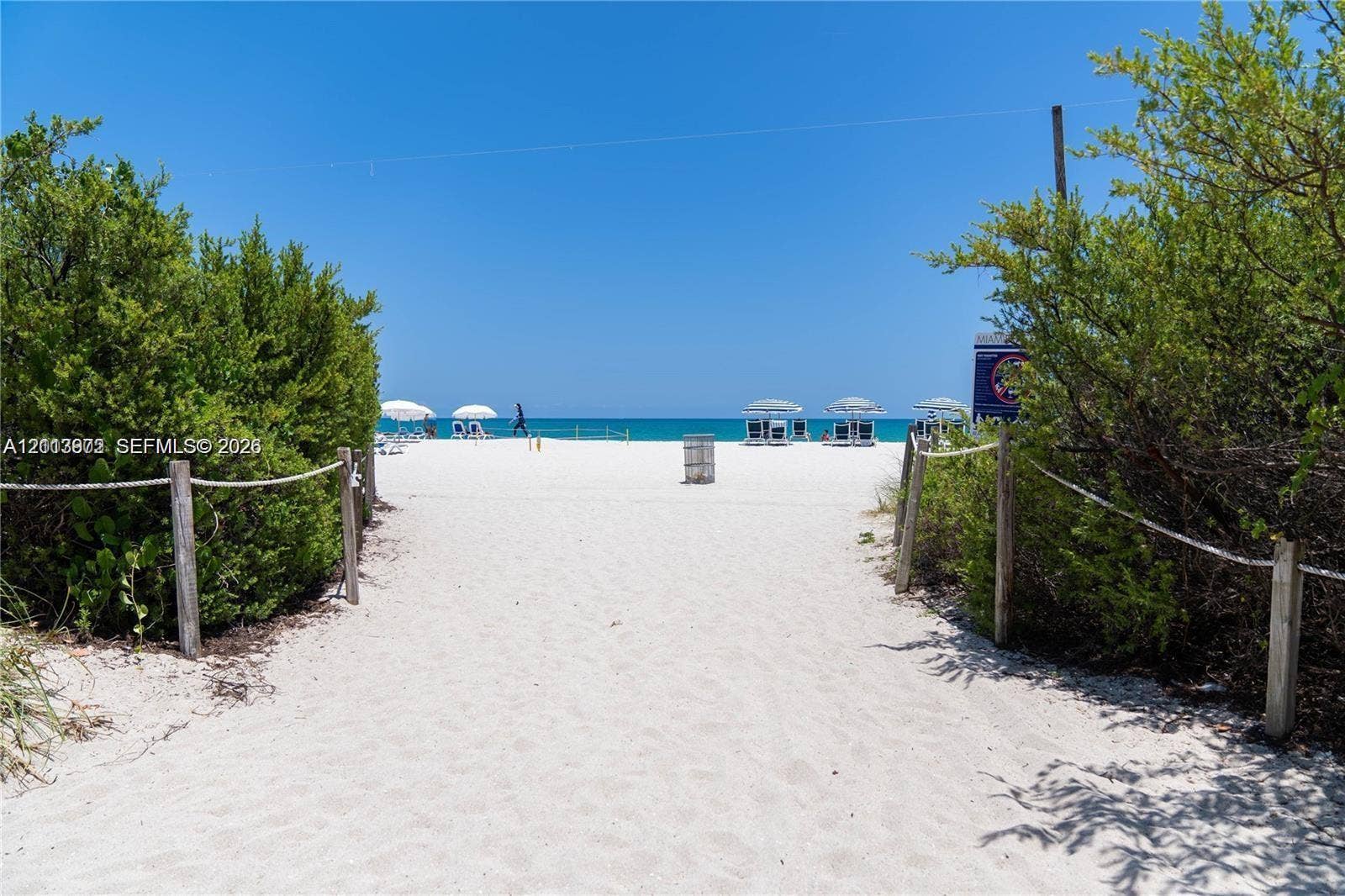 6515 Collins Avenue, #1609, Miami Beach, Miami Beach, FL 33141 Sandy beach access path featuring natural vegetation, wooden post-and-rope fencing, and direct oceanfront location