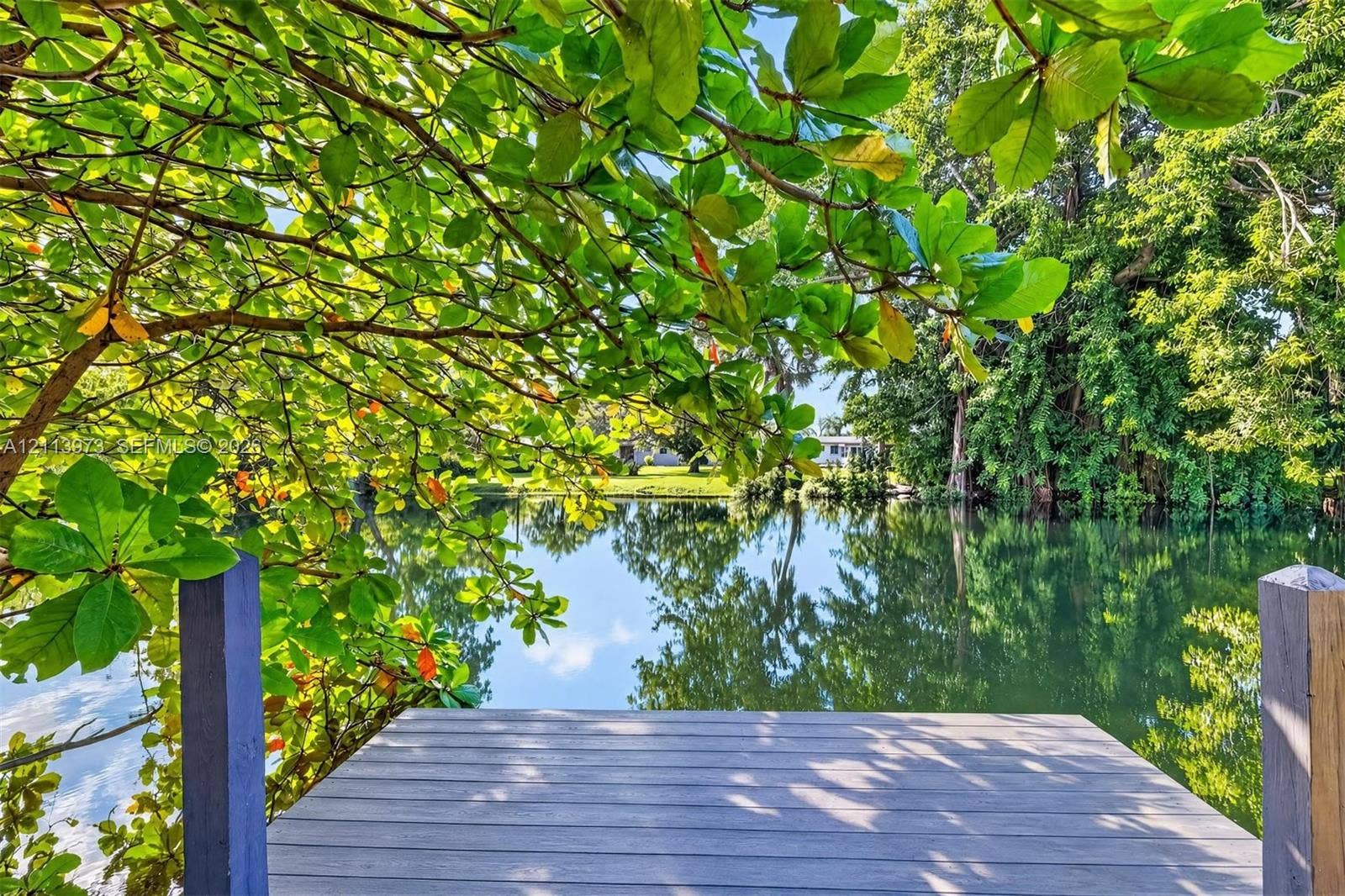 Waterfront dock featuring wood-finish decking, timber pilings, and overhanging mature tree canopy