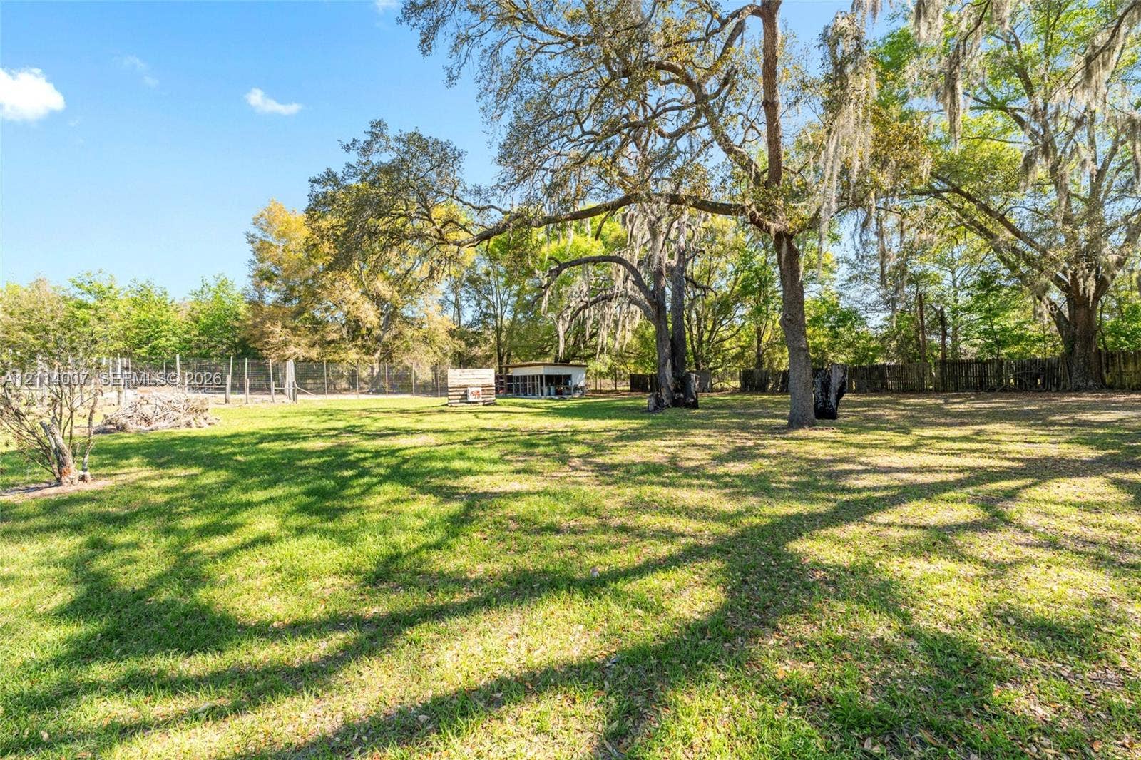5600 SE 39th Street, Trenton, FL 32693 Expansive level grounds featuring mature shade trees, perimeter fencing, and a detached outbuilding