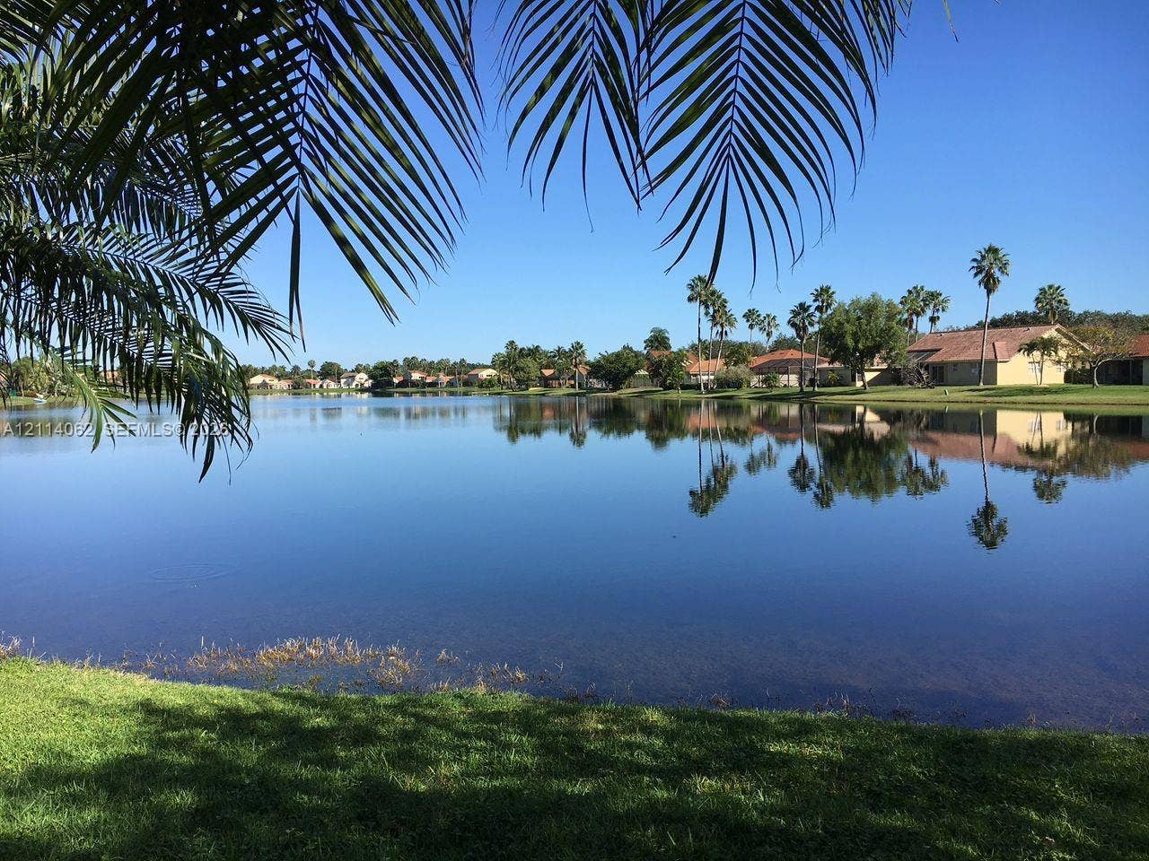 Weston, Weston, FL 33326 Waterfront property featuring a clear lake, manicured grass shoreline, and mature palm trees