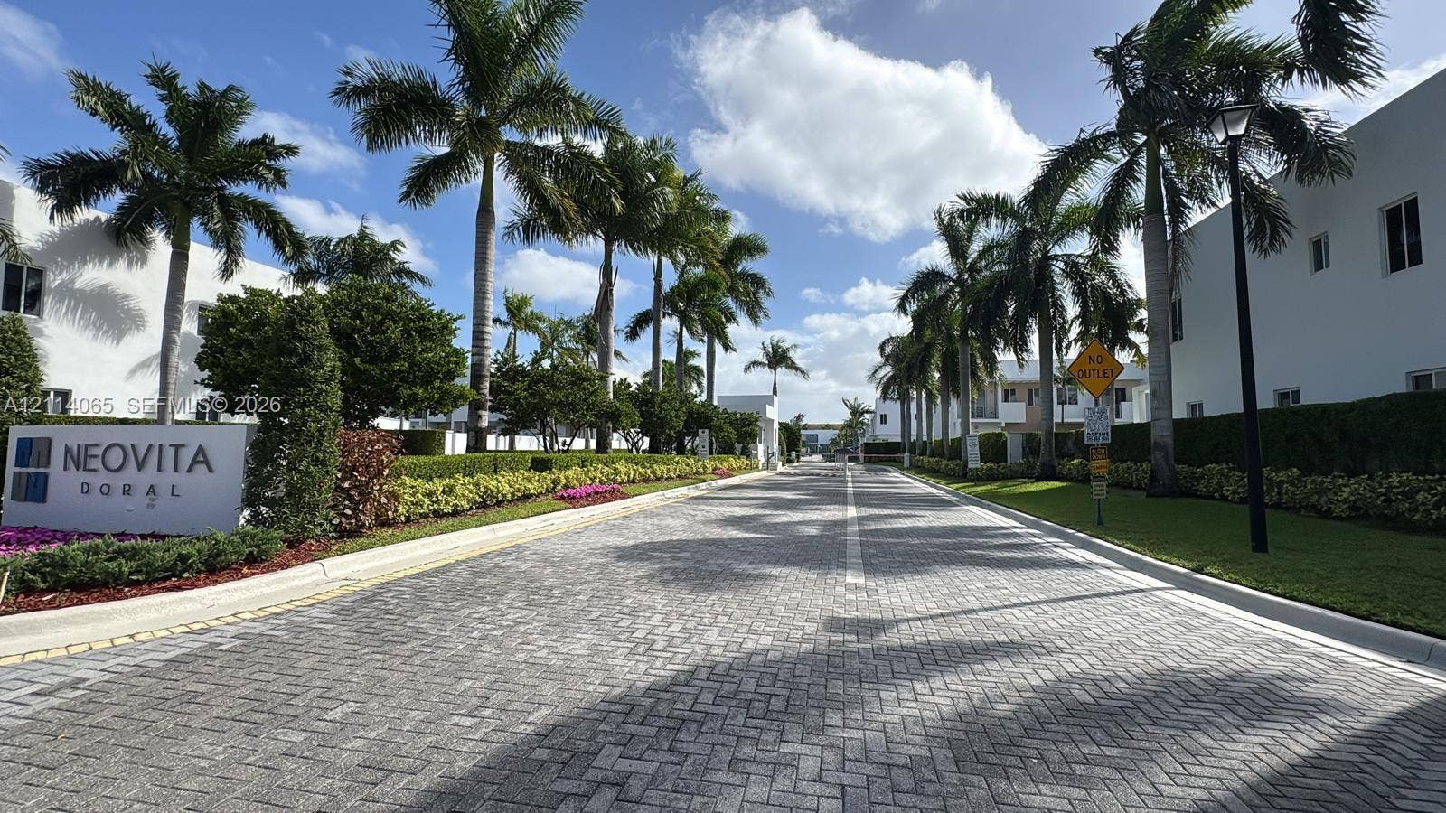 Paver-stone thoroughfare featuring mature palm trees, manicured hedges, and professional landscape lighting