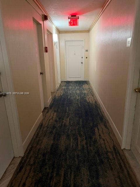 Hallway featuring patterned carpeting and multiple interior doors with metal hardware