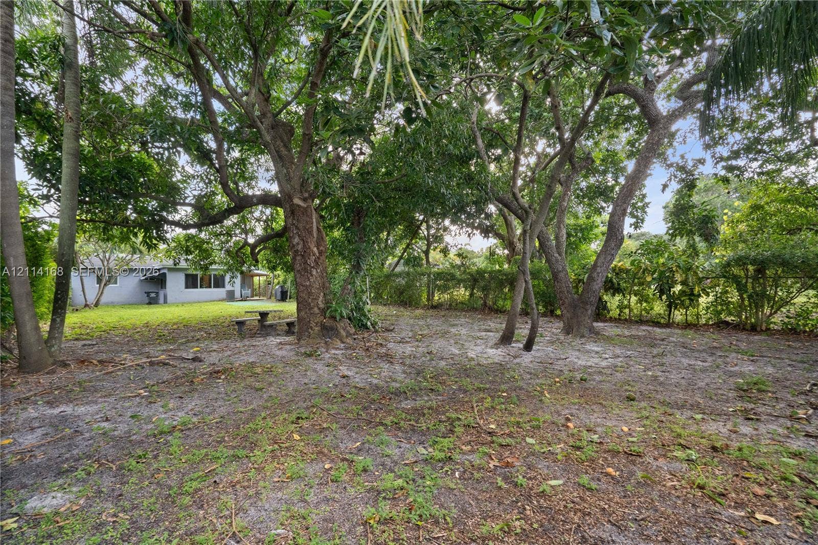 Spacious backyard featuring mature trees, a manicured lawn section, and perimeter vegetation