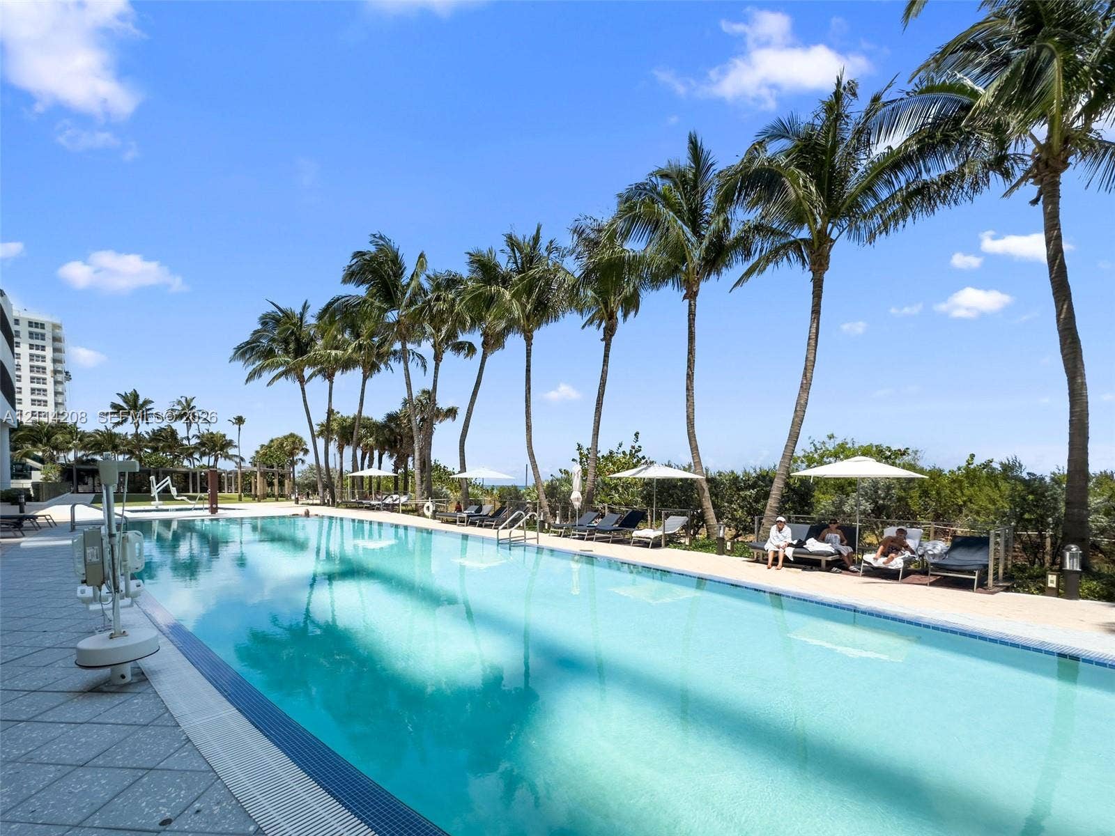 6801 Collins Avenue, #604, Miami Beach, FL 33141 Rectangular swimming pool featuring a tiled perimeter, integrated ladder access, and expansive stone-paver decking lined with mature palm trees