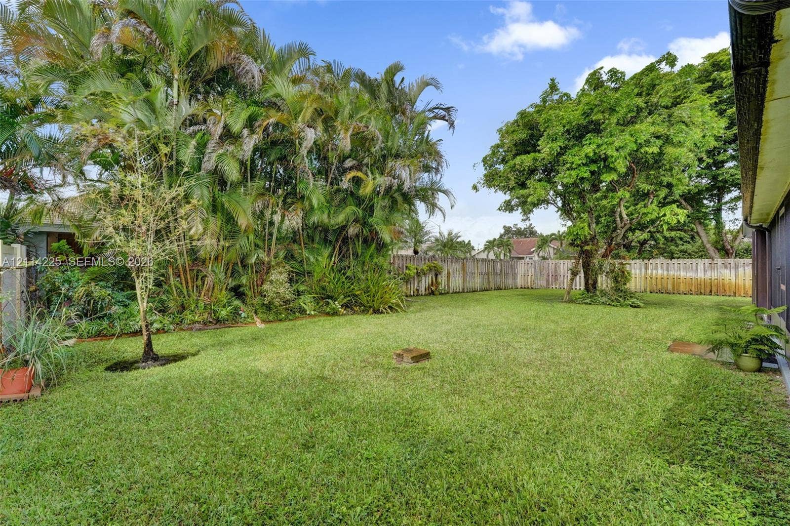 5741 SW 88th Terrace, Cooper City, FL 33328 Expansive backyard featuring a lush grass lawn, mature palm trees, established shade trees, and perimeter wood fencing